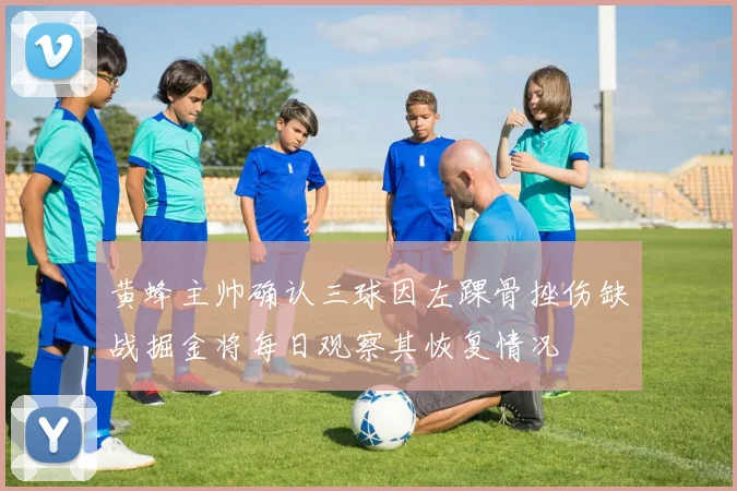 黄蜂主帅确认三球因左踝骨挫伤缺战掘金将每日观察其恢复情况
