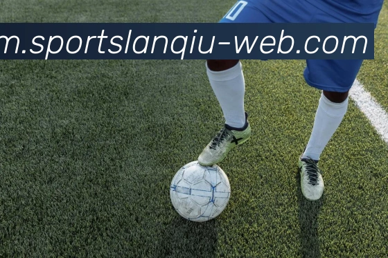 App Interface Preview